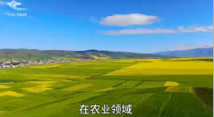 哈密干冰气肥